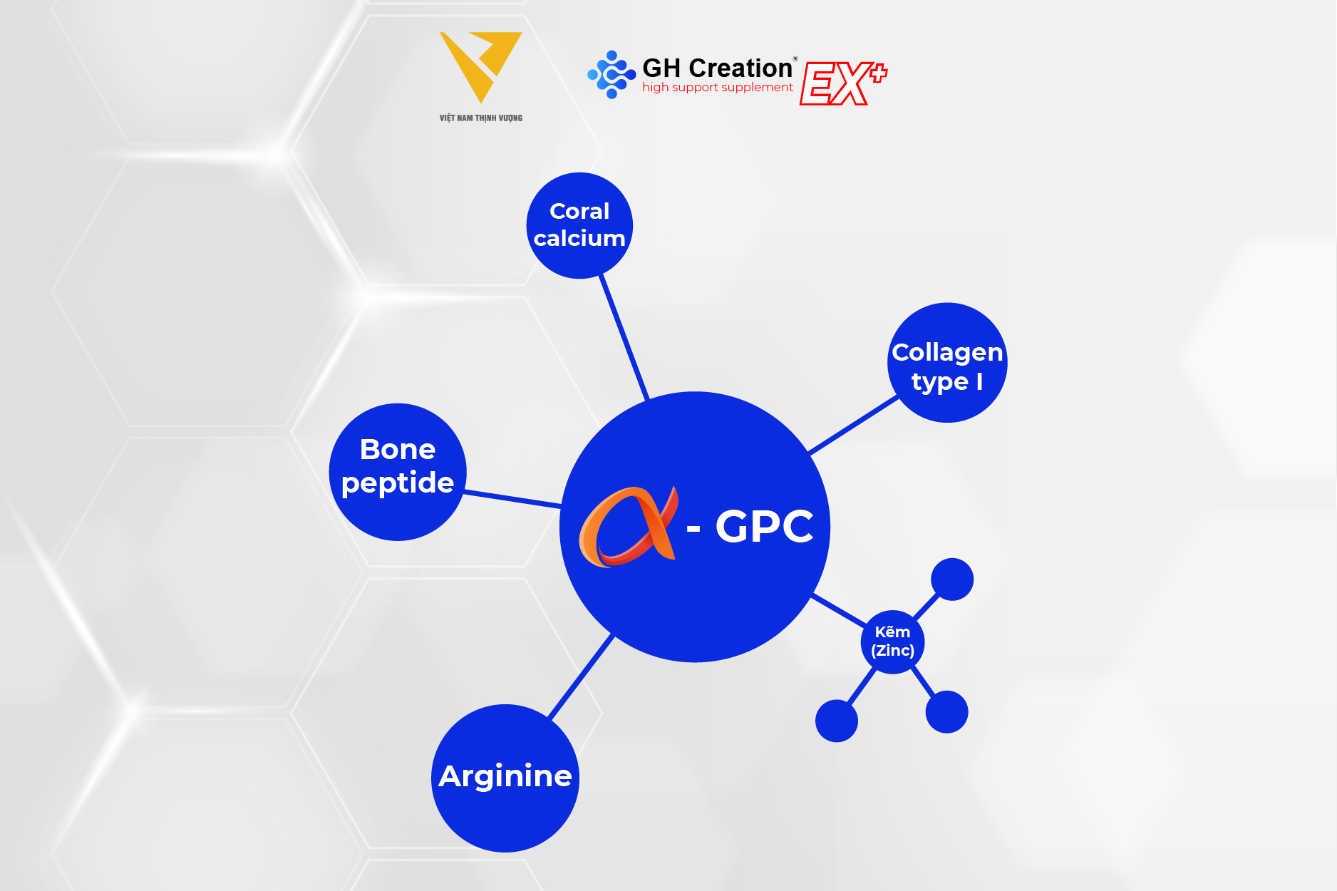 Thành phần chính của viên uống GH Creation EX+ Thành phần chính của viên uống GH Creation EX+