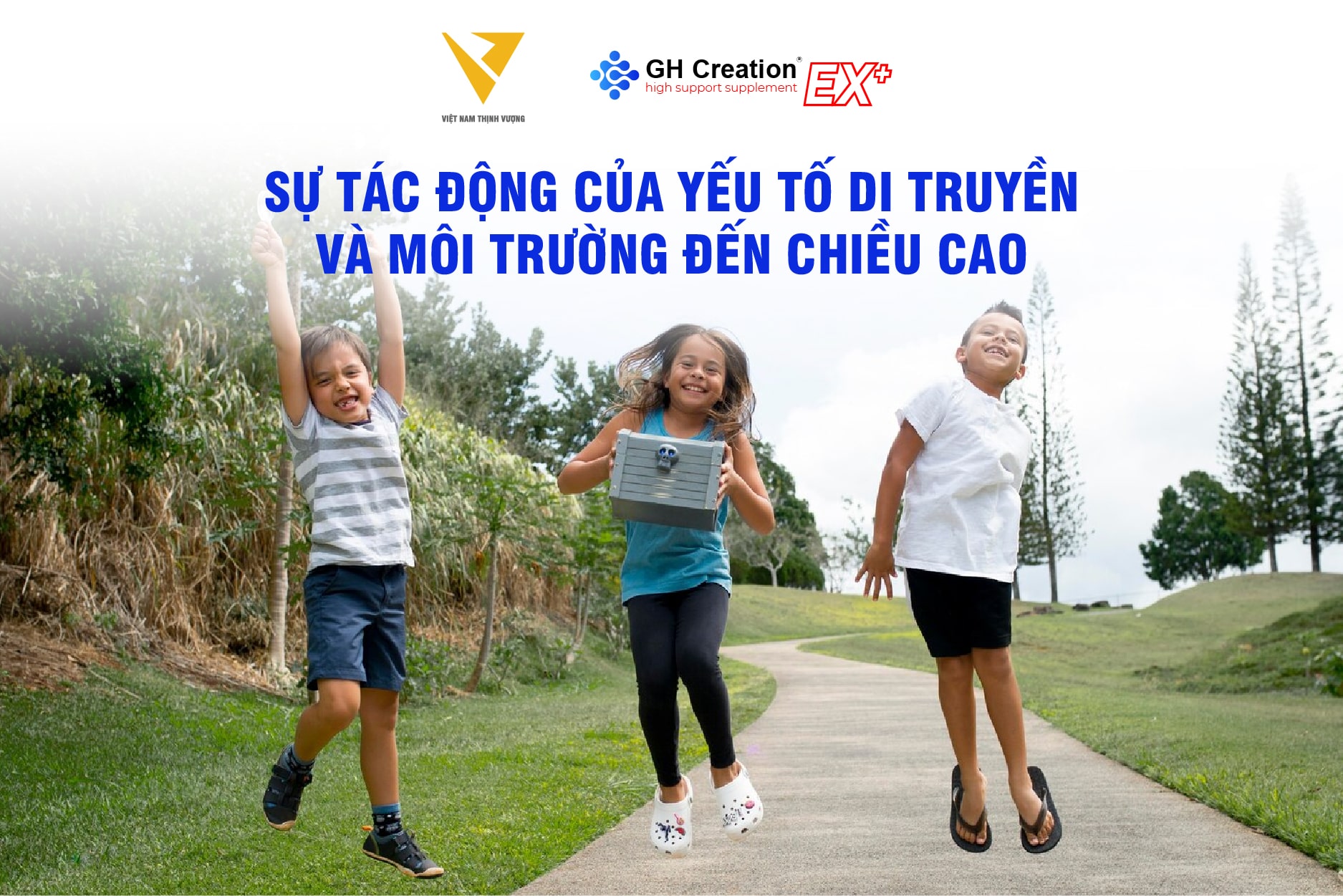 Sự tác động của yếu tố di truyền và môi trường đến chiều cao Sự tác động của yếu tố di truyền và môi trường đến chiều cao