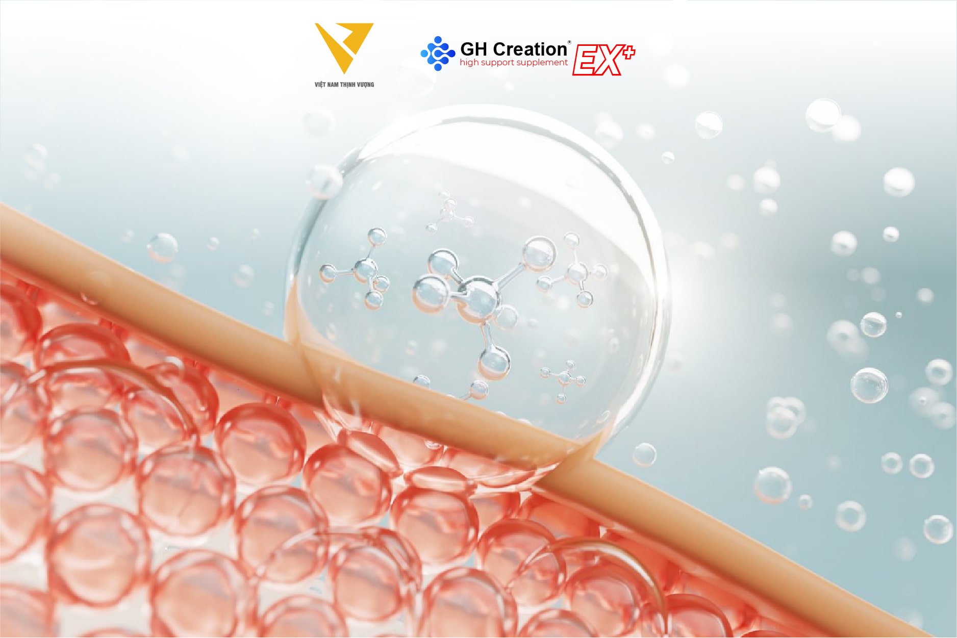Collagen - Tăng cường đàn hồi và linh hoạt cho xương Collagen - Tăng cường đàn hồi và linh hoạt cho xương