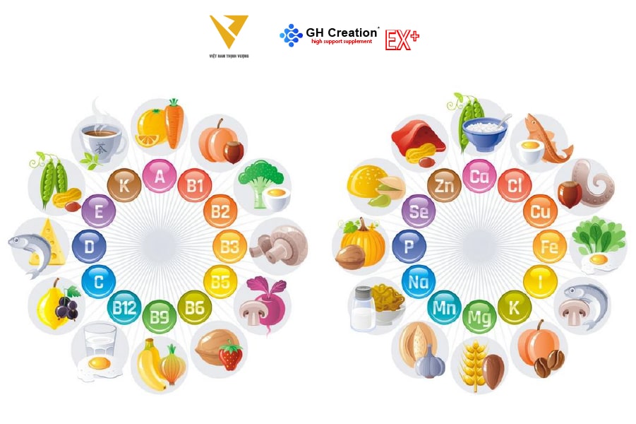 Tầm quan trọng của các chất dinh dưỡng và khoáng chất đối với sự phát triển chiều cao của trẻ Tầm quan trọng của các chất dinh dưỡng và khoáng chất đối với sự phát triển chiều cao của trẻ