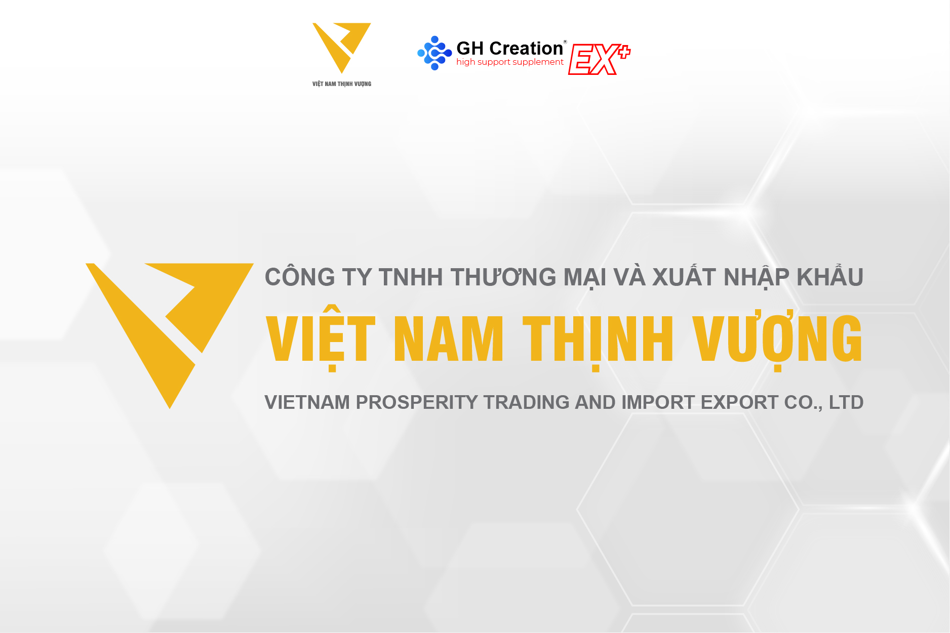 Tổng quan về công ty Việt Nam Thịnh Vượng Tổng quan về công ty Việt Nam Thịnh Vượng